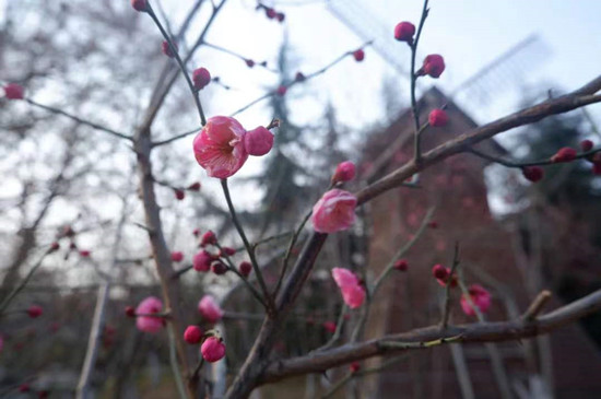 雨水降，萬(wàn)物蘇(圖1)